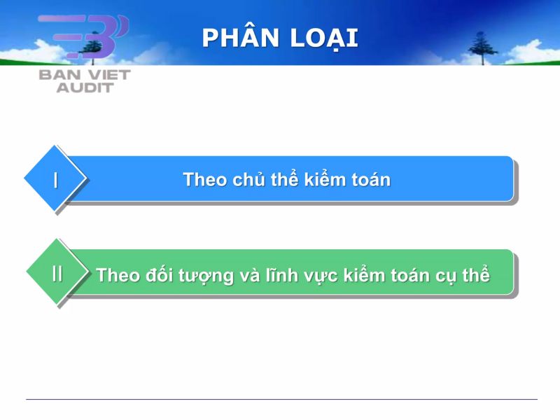 đối tượng kiểm toán